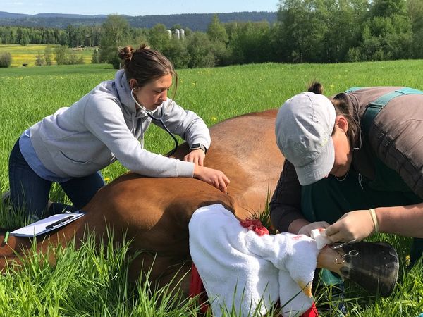 Dr. Jodyne Green and future veterinarian, Renee Ewald 2020