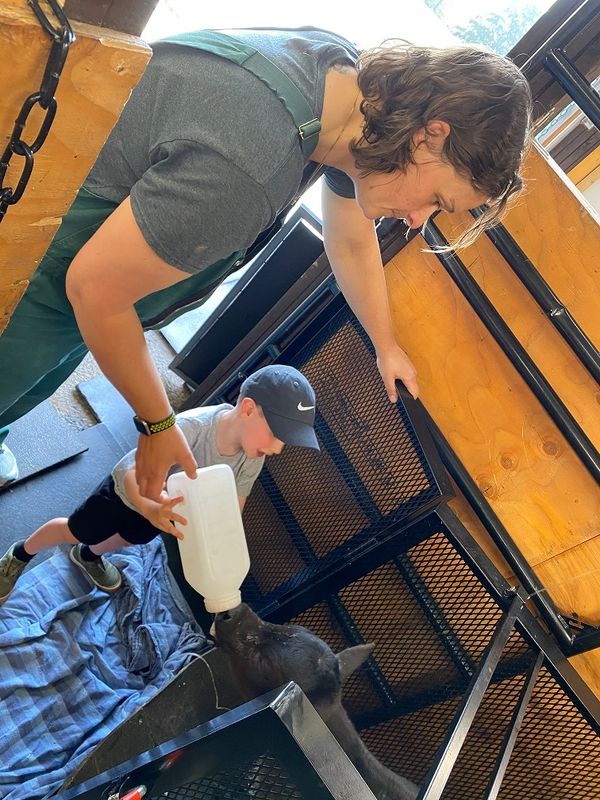 Jody Green and Lincoln Ireland