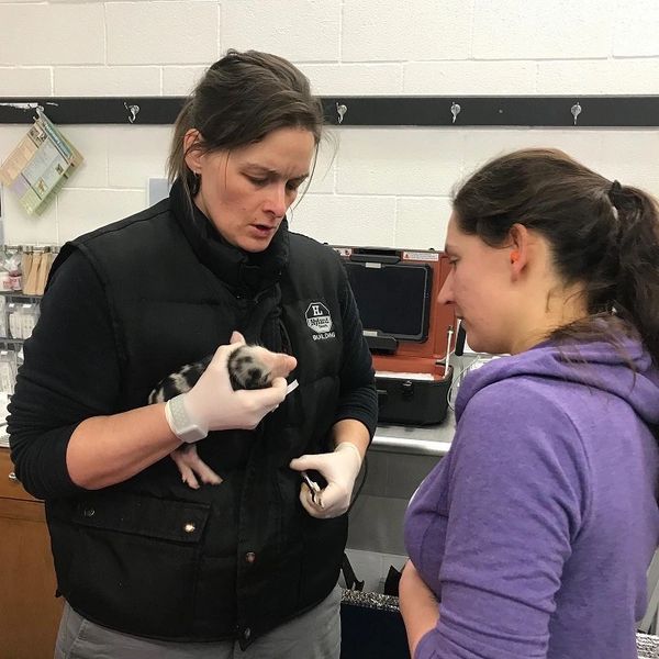 Dr. Jodyne Green and Britta