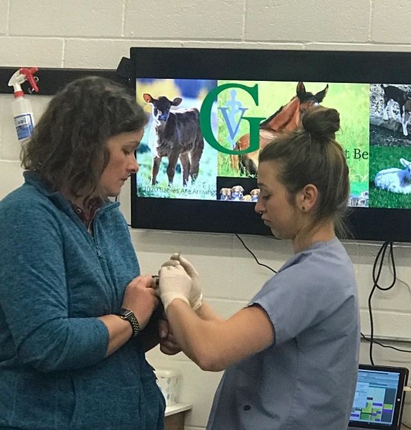 Dr. Jodyne Green and future veterinarian Renee Ewald