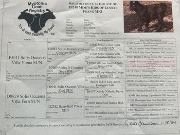 All his offspring this year had blue eyes. To the right of his papers are his Dam and Sire.