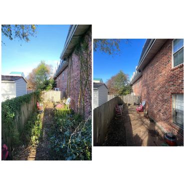 Overgrown lawn and vines before and after photo in Mid-City New Orleans. Landscape beautification