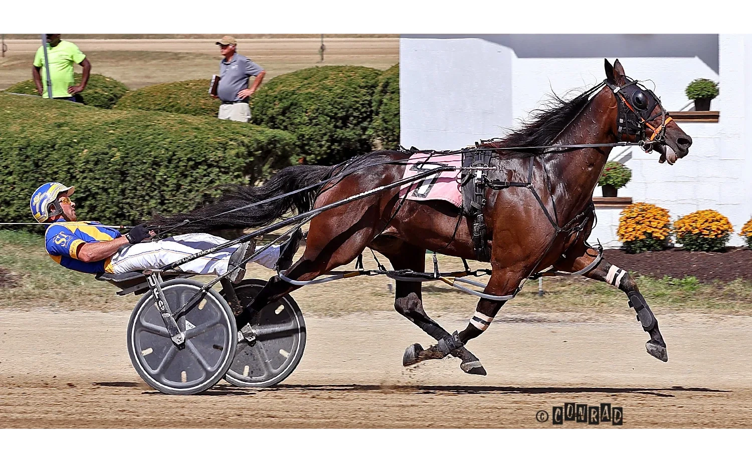Surfinthecanyon
2024 Signature Series Pace Final
Owner: Steve Bateson