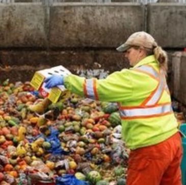 Food waste, compost, landfill, hunger, Food Connection