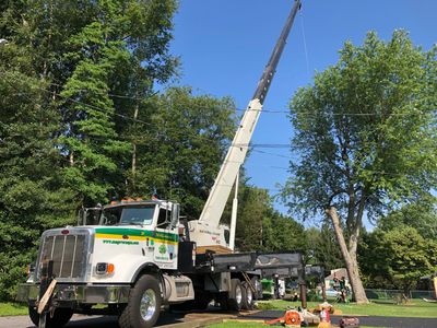 crane tree service Aston Pennsylvania media Delaware Chester counties new castle Ridley Springfield