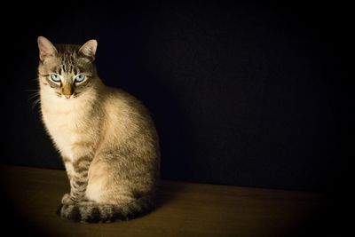 Enneagram Totem Animal Point 4