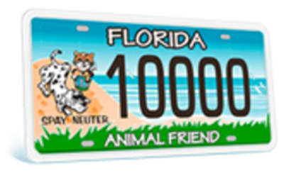 Florida Animal Friends License Plate