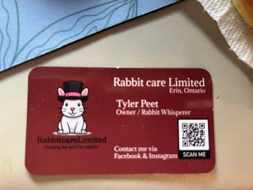 Business card for Rabbit care Limited with contact details and a rabbit logo.