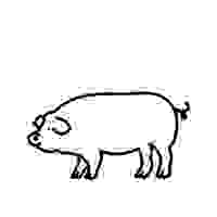 image784