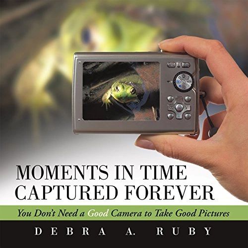 Capturing frog with a camera