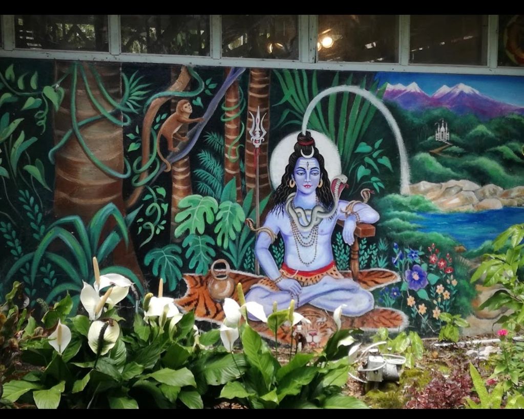 Yoga retreat at Oceanside Ibogaine Treatment Center