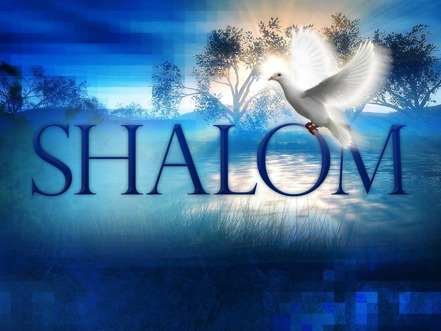 PJ Ministries International Shalom Home page