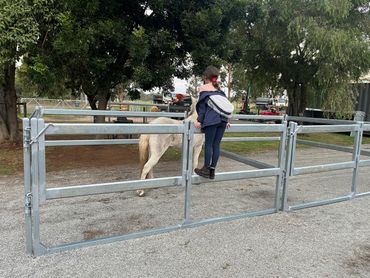 Custom made Horse day yards portable or fitted