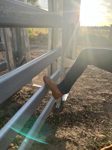 Sturdy Livestock yards