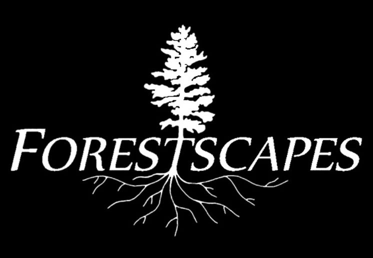Forestscapes