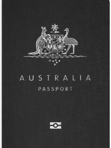 immigrationworkvisa, work visas for veterinarians, tn visa, h-1b visa, h-1b1 visa, e-3 visa, dvm vis