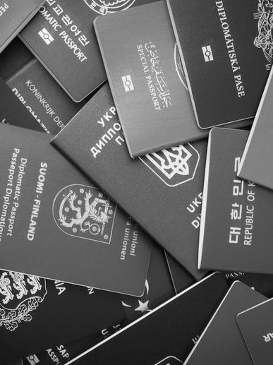 immigrationworkvisa, work visas for veterinarians, tn visa, h-1b visa, h-1b1 visa, e-3 visa, dvm vis