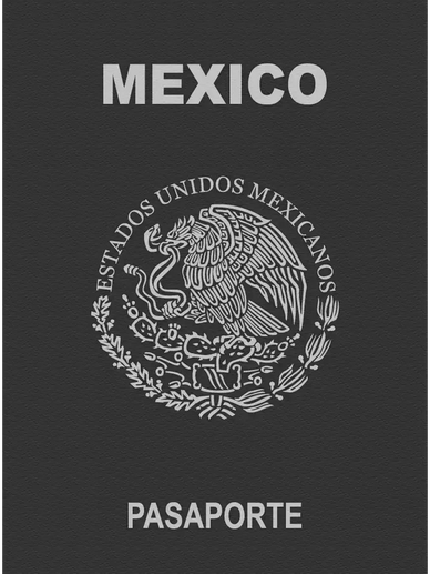 immigrationworkvisa, work visas for veterinarians, tn visa, h-1b visa, h-1b1 visa, e-3 visa, dvm vis