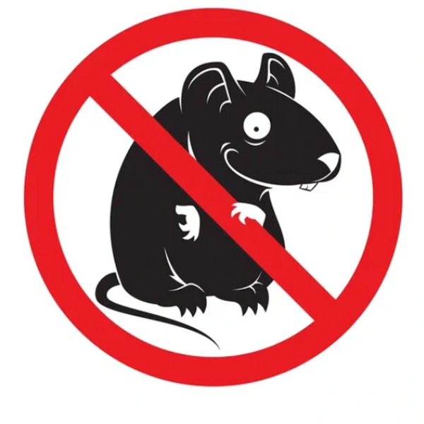 Rat/Rodent  control 