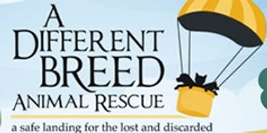 A Different Breed Animal Rescue