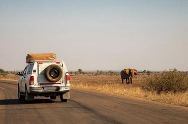 Our tour has 12 Game drives to see the most African animals with At Your Beck And Call