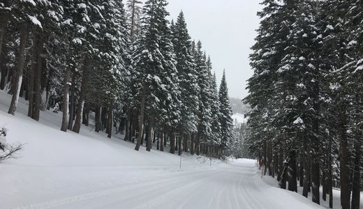 Photo taken from the top of Old Mammoth Road (by the Bluffs neighborhood).