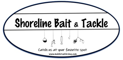 Shoreline Bait & Tackle
