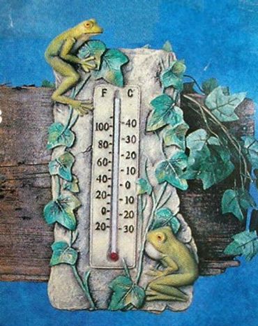 Frog Thermometer
This is about 12"