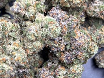 Close-up of dense cannabis buds with purple hues and orange hairs.