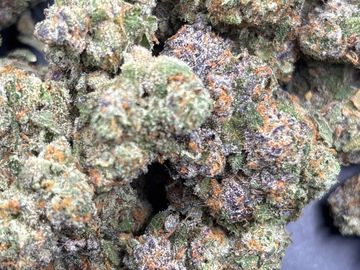 Close-up of dense cannabis buds with purple hues and orange hairs.