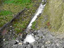 Image of paint in ditch