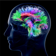 TierOne mental skills development