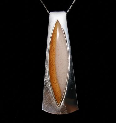Honey Gold and White Fossilized Palm Wood Pendant