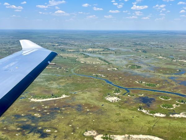 Flying safaris across Southern and East Africa.