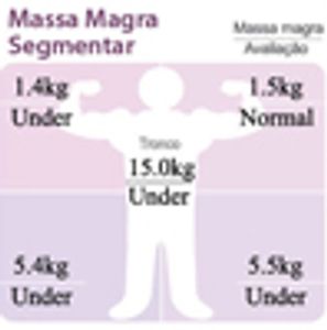 Massa Magra Segmentar