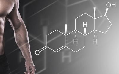 Implante Testosterona
Chip Testosterona
Andropausa
Reposição Testosterona