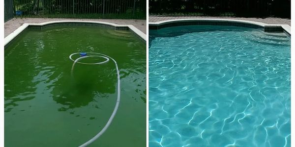 Green to Clean Swimming Pool Cleaning Service