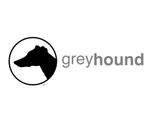 greyhounddrum