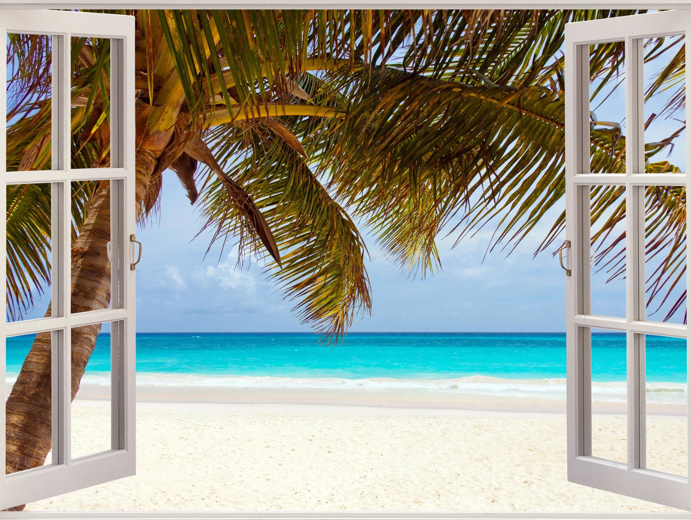 Looking out of a window