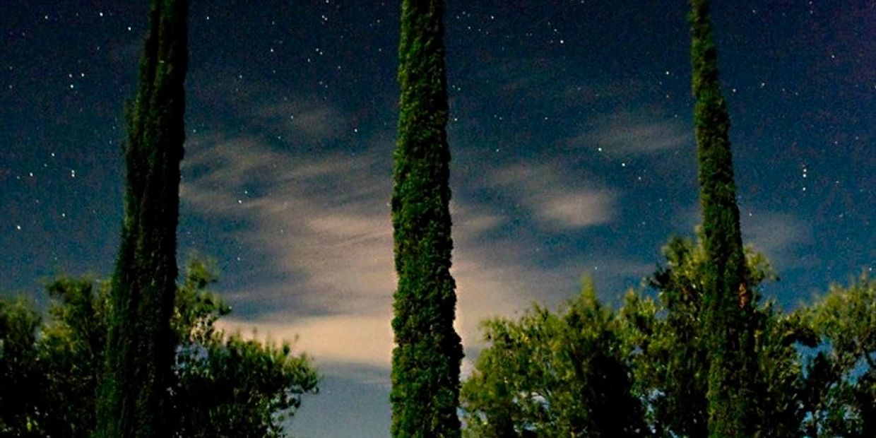 The Mind Garden @ Arcosanti