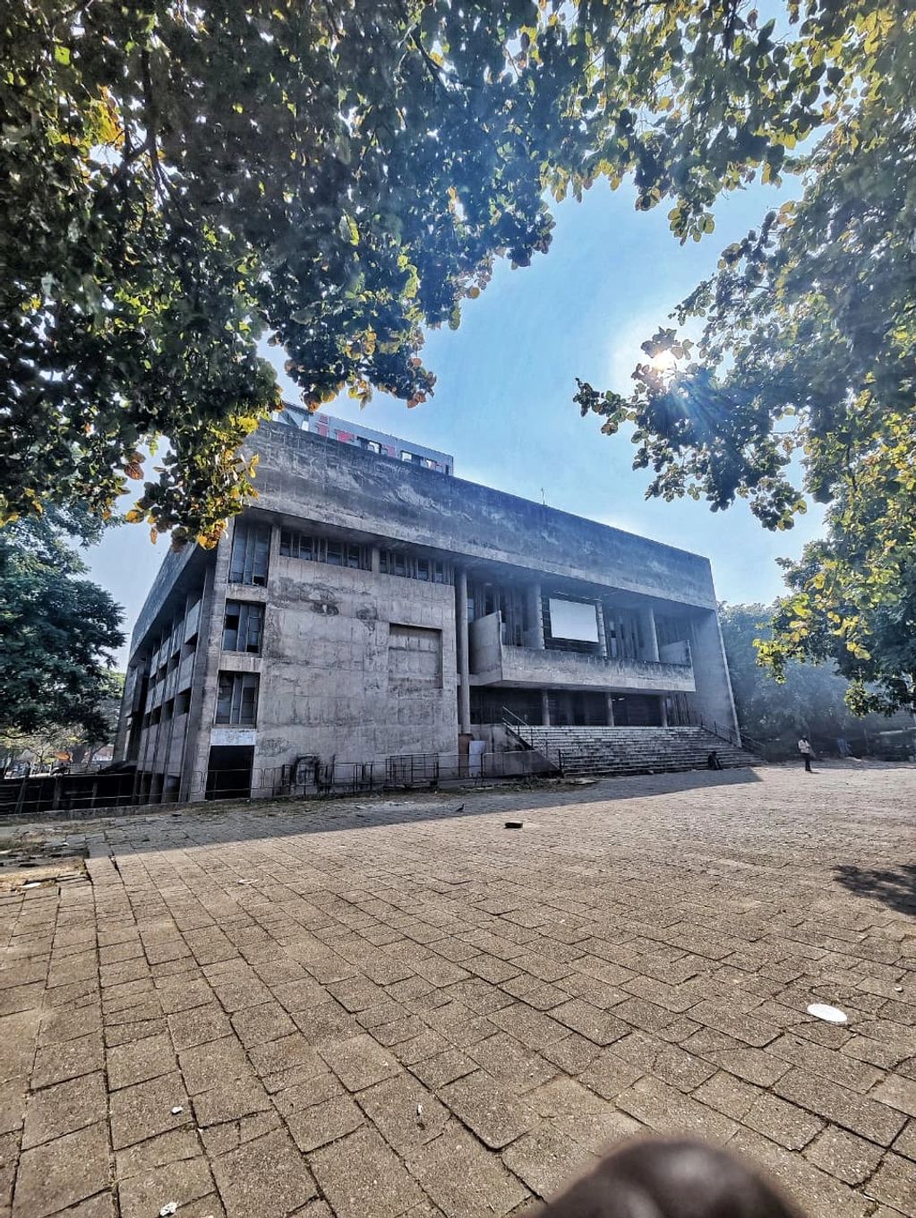 Large concrete building under bright sunlight framed by tree branches.