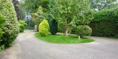 the Cameron House garden