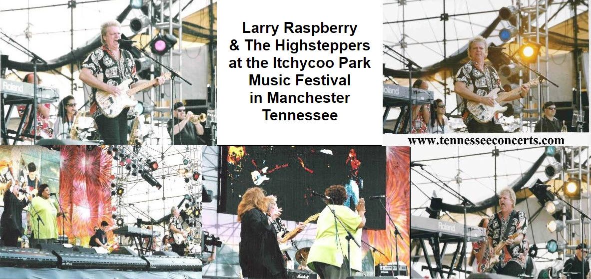 Larry Raspberry & the Highsteppers at the Itchycoo Park Festival.
Larry Raspberry was in the 60's