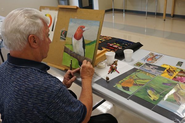 Member draws realistic image of a bird on an easel surrounded by bird images on table at ARC