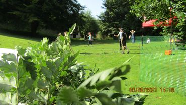 Mobile axe throwing - wedding- white wolf activity centre