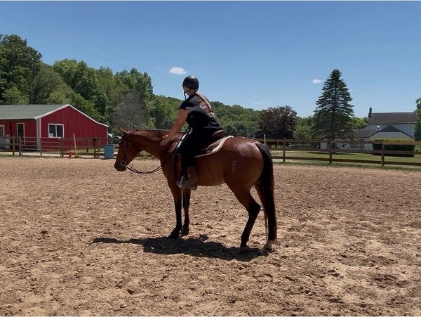 Person on a horse in a fenced area on a sunny day.