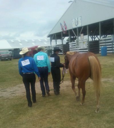 Brianna, Becky and Brody at the fair with a horse