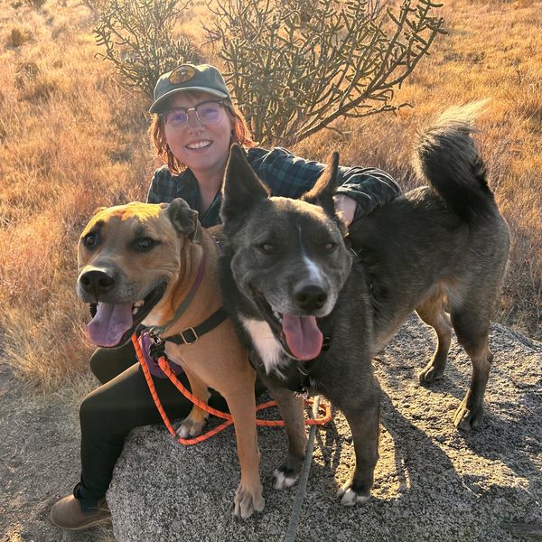 Smiling person outdoors with two happy dogs on a sunny day.