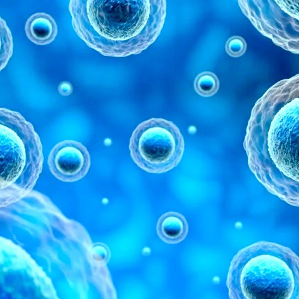 Exosomes in Stockport