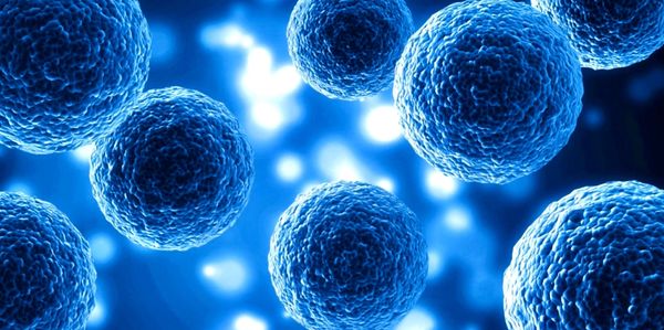 Exosomes in Cheshire